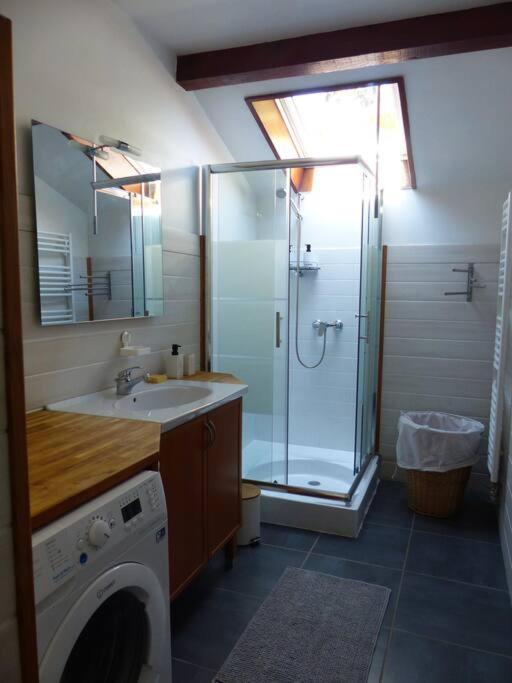 Appartement Dans Maison Brié-et-Angonnes Extérieur photo